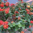 Chou huang - @Chouhuang2 - Twitter