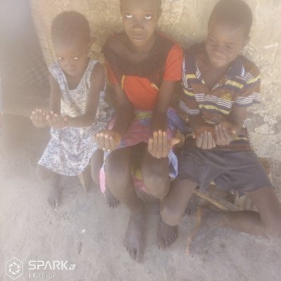 Ebrimajambang5's profile picture. 