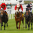 HorseRacingUK's profile image