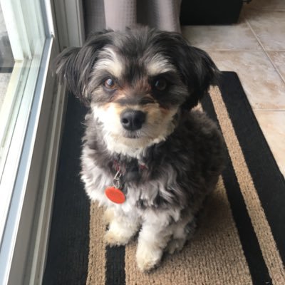 Cubicshapes's profile picture.
