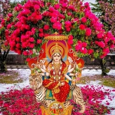 NibhaSi45790467's profile picture. Be happy nd be positive 😘