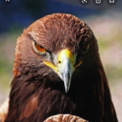 nurlan11924249's profile picture. against dictatorship in Kazakhstan