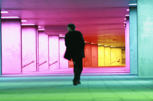 tkortvelyessy's profile picture. choreographer, dancer, performer, thinker, certified teacher of Kinetic Awareness®