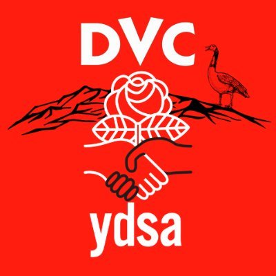 Official @YDSA_ chapter at Diablo Valley College • Organizing students and workers for radical changes 🌹 Want to learn more? DM us!