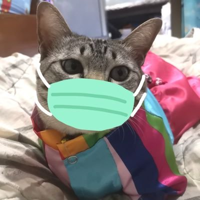 กู้หื่นต้องรอดจากโควิดさんのプロフィール画像