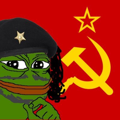 Nam13528086's profile picture. 