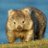 s72048133's profile image