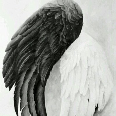 LesFa's profile picture. Irremediablemente rota