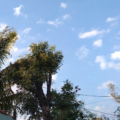 CLOUDDataEngin1's profile picture. CloudData Engineer. |