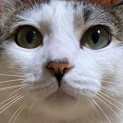새싹집 바미さんのプロフィール画像