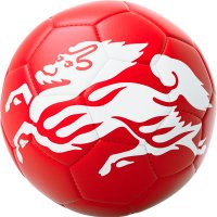 キリン⚽We Are One Team.(@kirin_soccer_nc) 's Twitter Profile Photo