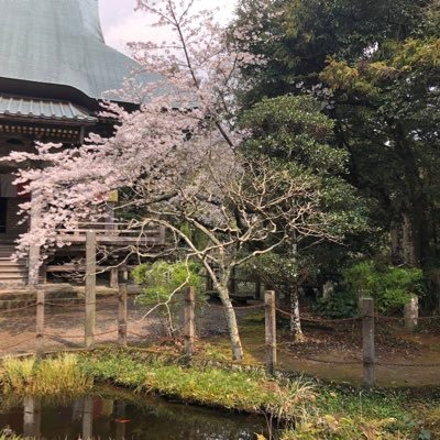 brento53804244's profile picture. Business Owner / Entrepreneur