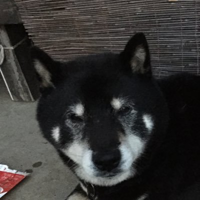 けんじさんのプロフィール画像