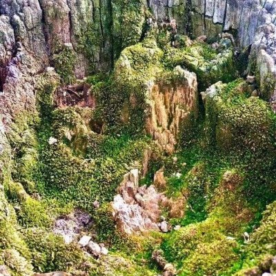 keidanski's profile picture. 