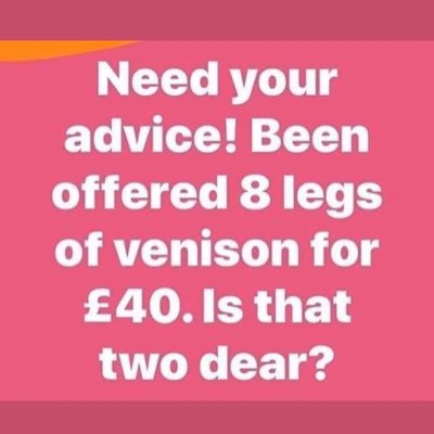 lanciboyian's profile picture. all views are my own