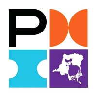 Chapitre PMI RDC(@pmidrc) 's Twitter Profile Photo