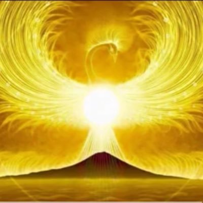 y1GERbHnUZONipU's profile picture. 