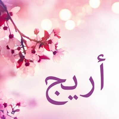 حساب يهتم في تقديم كل مايفيد الطالب في التحصيلي والقدرات (من تجميعات-واسئلة -قوانين)