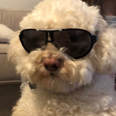 stackeG's profile picture. F/A - Fortnite Competitive Player - California