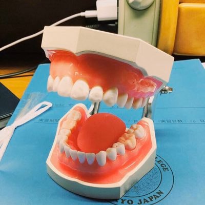 歯のオタク歯科衛生士 Eiseishi80 Twitter