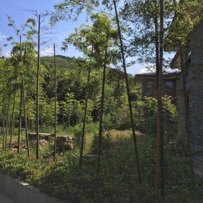 vBtnfBWOn42Blqp's profile picture. 