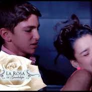 #LaRosaDeGuadalupe
La rosa de Guadalupe