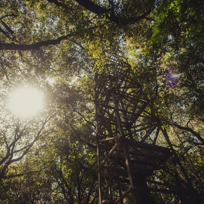The Castelporziano2 (IT-Cp2) Ecosystem Station
hosts a flux tower located inside an evergreen mediterranean forest.
Tweets by @AdrianoConte_ & @FaresSilvano
