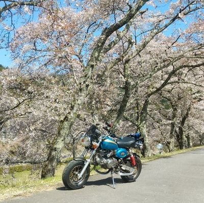 Kawasaki Ninja ZX-6R乗ってます。
バイク歴15年くらい。
Monkey→Ninja650→Ninja ZX6R
無言フォロー失礼します。