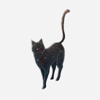 kitten (@kitten_gravity) 's Twitter Profile