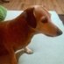 Mateusz (@mateusz53344404) Twitter profile photo Mateusz (@mateusz53344404) Twitter profile photo