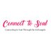 Connect to Soul (@connect_to_soul) Twitter profile photo