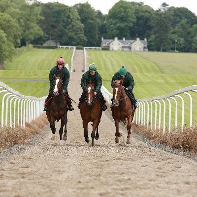 Abbk Chefandy2 Twitter twitter