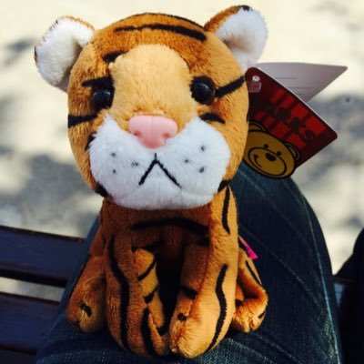 โทระซัง🐯さんのプロフィール画像