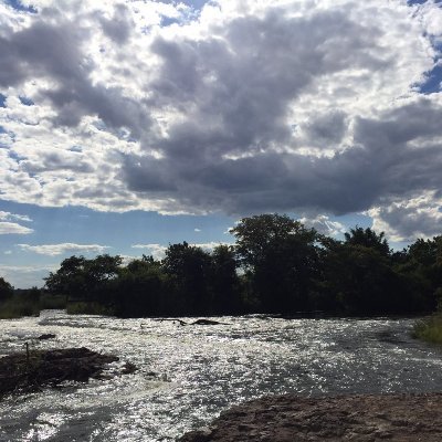 kimmins28453935's profile picture. 