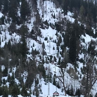 ygsankar's profile picture. Android Software Engineer. successful systematic trader.