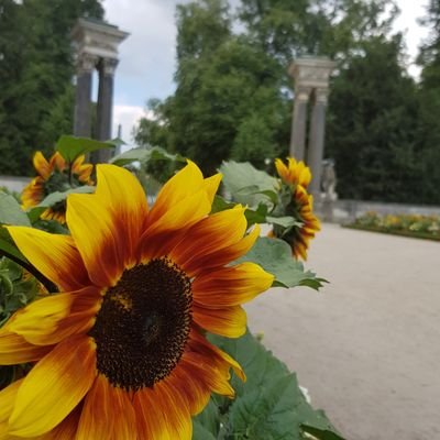 RababJ6's profile picture. 