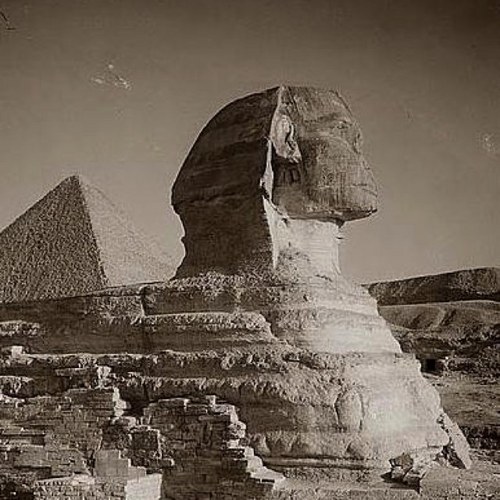 remile5's profile picture. Egyptian MD, a Copt living in Canada, secularist, hate racism, minded with #Egypt & its people, believe in #human rights for everyone..