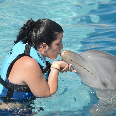 Pau_Fraga's profile picture. 