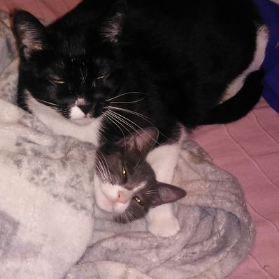 Frances95735533's profile picture. 