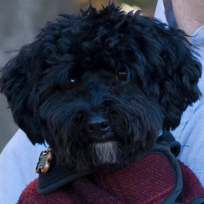 NeverStopCoding's profile picture. 