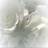 MarijanaSavic's profile image
