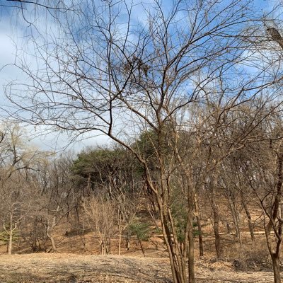 yeonxi1's profile picture. twit again. 애엄마, 독백, 이벤트공유