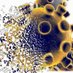 Vacuna Coronavirus (@vacunacovid2019) Twitter profile photo Vacuna Coronavirus (@vacunacovid2019) Twitter profile photo