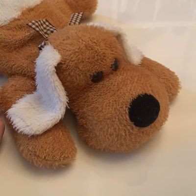 Cosimos12's profile picture. Stuff