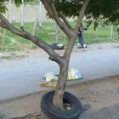 vikramjain2013's profile picture. 