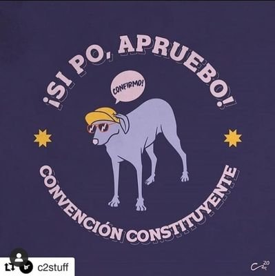 experta en nada, con curiosidad en todo, ñoña de profesión