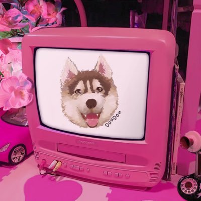 petbakery1's profile picture. DIY pet bakery