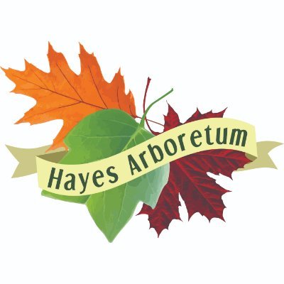 Hayes Arboretum contains unique plant collections, rock and fossil collections and miles of hiking and running paths. Open all year round! Tues-Sat 9-5