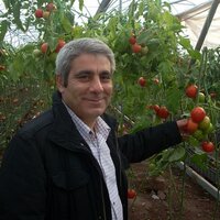 HÜSEYİN GÖKÇE (@huseyingokce44) Twitter profile photo
