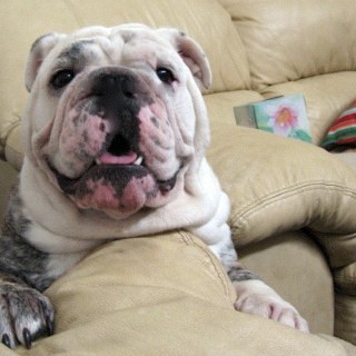 Tarpon65's profile picture. 